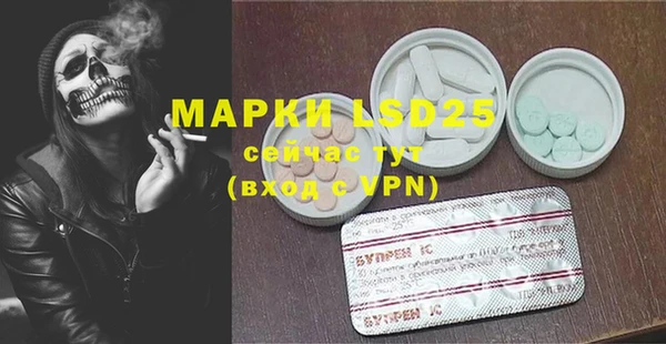 ГАЛЛЮЦИНОГЕННЫЕ ГРИБЫ Зеленодольск