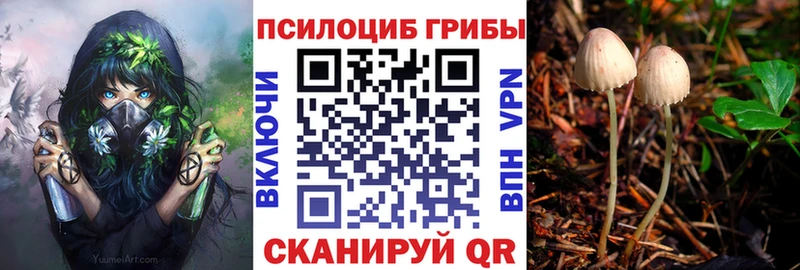 сайты даркнета телеграм  Ревда  Галлюциногенные грибы Psilocybine cubensis  omg рабочий сайт 